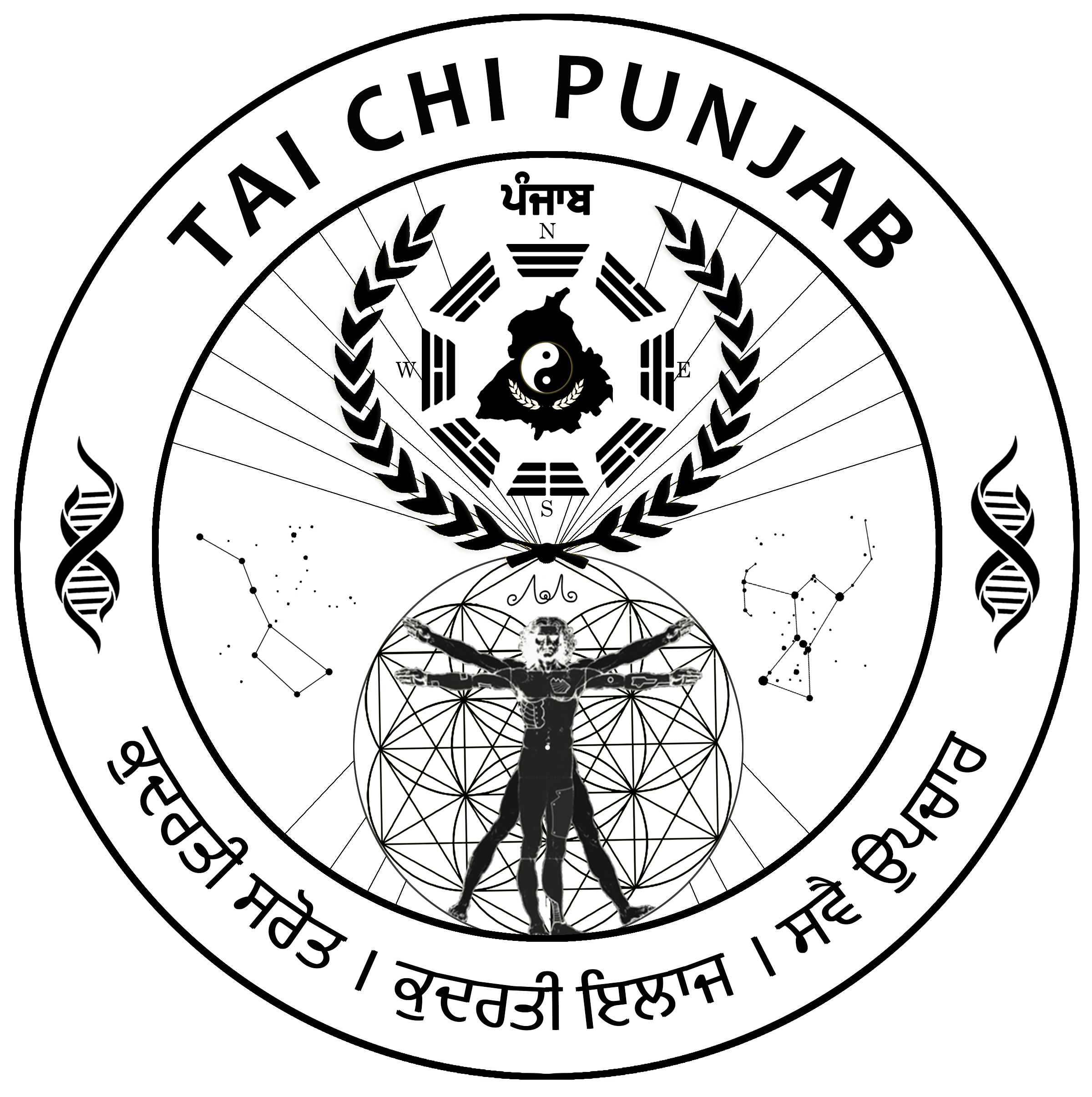 Tai Chi Punjab Logo