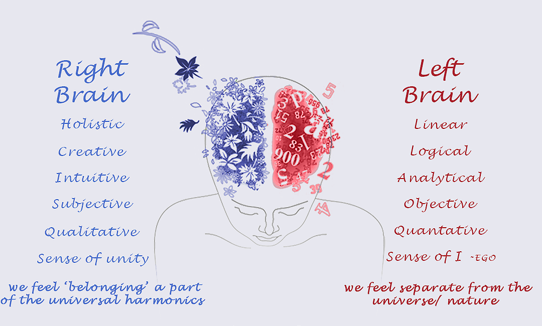 Left Brian Right Brain